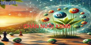 Chăn nuôi xsmb